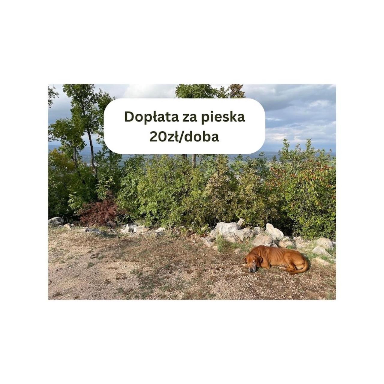 Lakowa Dolina - Domek Letniskowy Supraśl Esterno foto